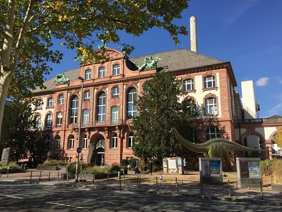 Senckenberg Forschungsinstitut und Naturmuseum